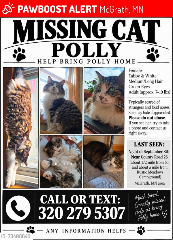 Lost Female Cat last seen County Road 26, McGrath, MN 56350