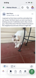 Reunited Unknown Cat last seen Terrace, Auburn, CA 95603