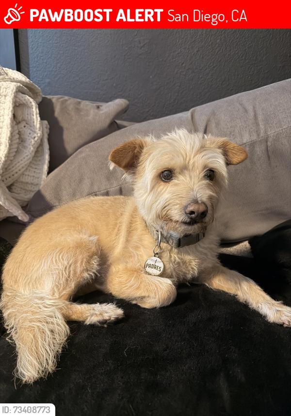 Lost Male Dog last seen Euclid & Imperial, San Diego, CA 92114