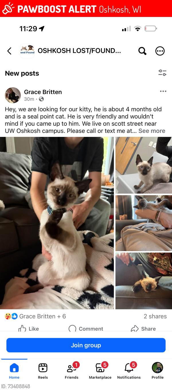 Lost Male Cat last seen Near Scott Ave, Oshkosh, WI 54901