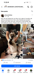 Lost Male Cat last seen Near Scott Ave, Oshkosh, WI 54901