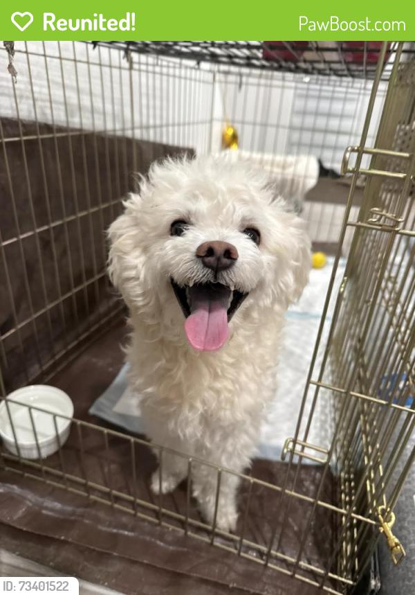 Reunited Male Dog last seen Tustin Village apmts, Tustin, CA 92780
