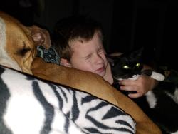 Lost Female Cat last seen Penny Lane between 5th and 7th Street, Turner, OR 97392