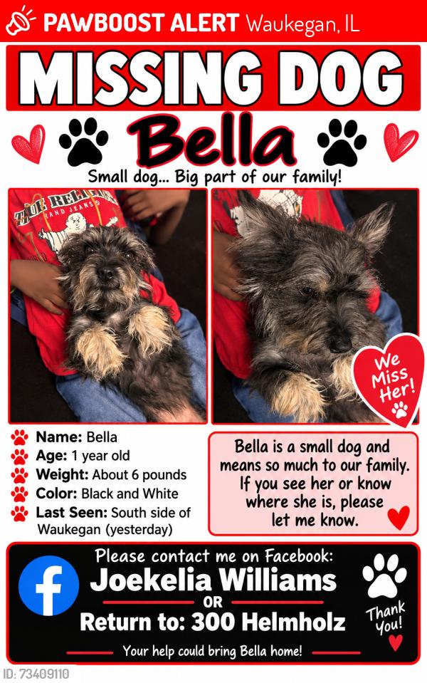 Lost Female Dog last seen Helmholz Sheridan road McAllister lenox, Waukegan, IL 60085