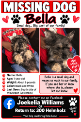 Lost Female Dog last seen Helmholz Sheridan road McAllister lenox, Waukegan, IL 60085