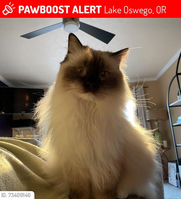 Lost Female Cat last seen Mountain Park Rec Center, Lake Oswego, OR 97035