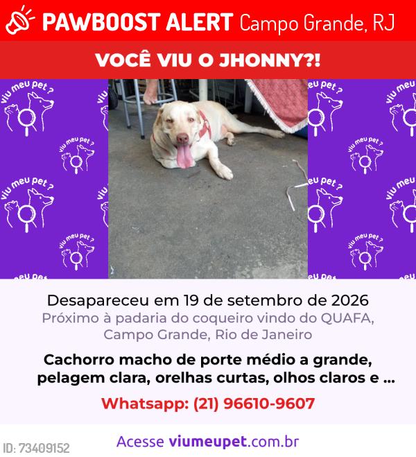 Lost Male Dog last seen Estrada da Posse próximo a Padaria do Coqueiro - Campo Grande RJ, Campo Grande, RJ 