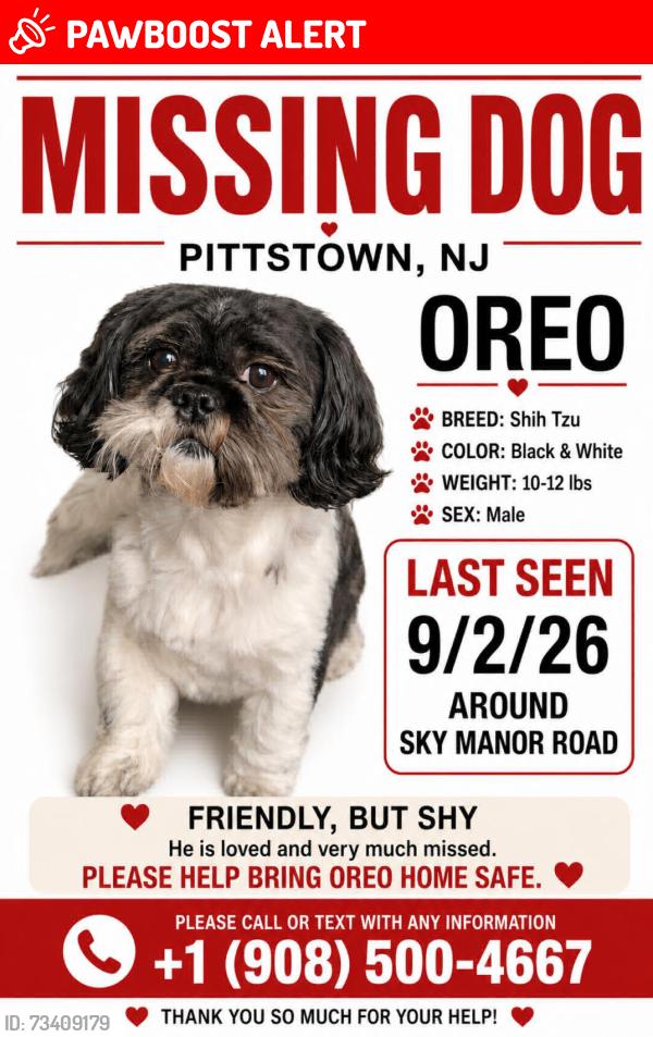 Lost Male Dog last seen Pittstown Road, Franklin Township, NJ 08867
