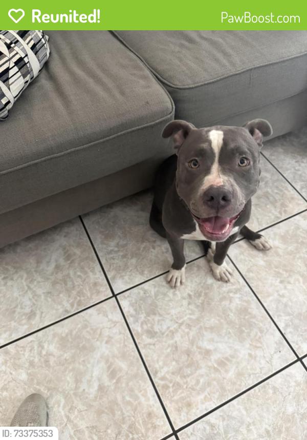 Reunited Male Dog last seen White oak bend neighborhood, Houston, TX 77065