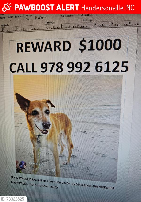 Lost Female Dog last seen Sweetpea & Green Haven, Hendersonville, NC 28791