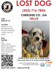 Lost Female Dog last seen Harrison Lane and Hornage Road, Cherokee County, GA 30107