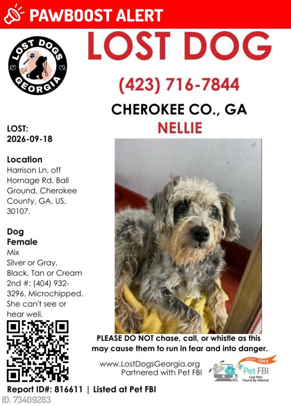 Lost Female Dog last seen Harrison Lane and Hornage Road, Cherokee County, GA 30107