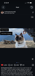 Lost Female Cat last seen Bonneville Salt flts near SLC, Salt Lake City, UT 84114