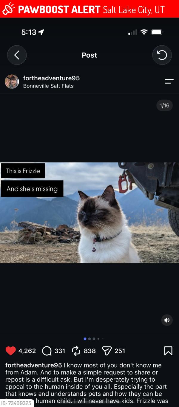 Lost Female Cat last seen Bonneville Salt flts near SLC, Salt Lake City, UT 84114