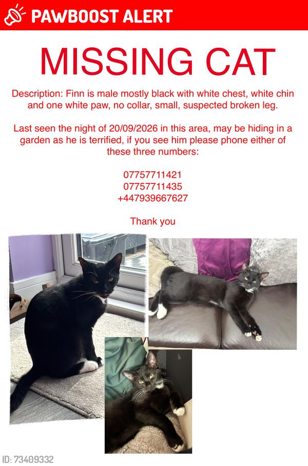Lost Male Cat last seen Pennant drive, West Midlands, England B63 2SG