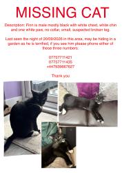Lost Male Cat last seen Pennant drive, West Midlands, England B63 2SG