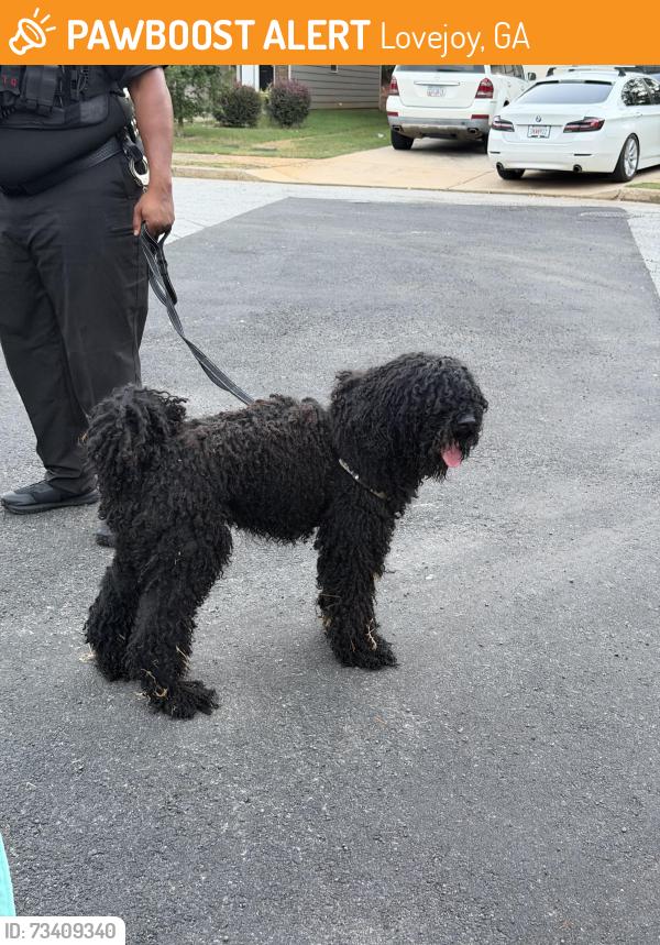 Found/Stray Unknown Dog last seen LoveJoy Rd, Lovejoy, GA 30228