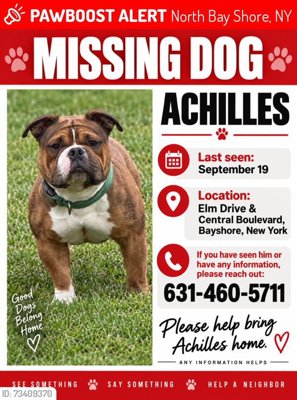 Lost Male Dog last seen Elm Drive & Central Boulevard, Bay Shore, NY 11706, North Bay Shore, NY 11706