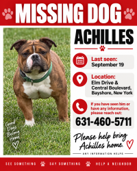 Lost Male Dog last seen Elm Drive & Central Boulevard, Bay Shore, NY 11706, North Bay Shore, NY 11706