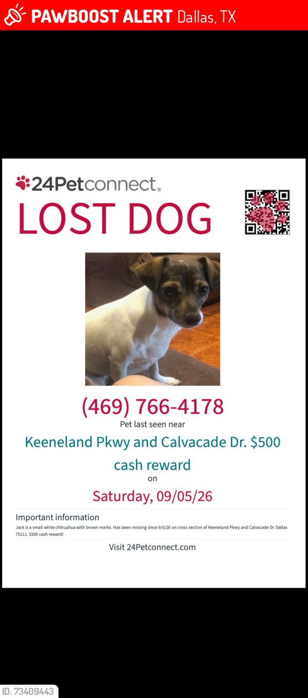 Lost Male Dog last seen Keeneland and cavalcade, Dallas, TX 75211
