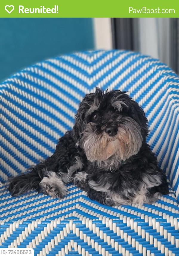Reunited Male Dog last seen Breezy pines ct, Chesapeake, VA 23321