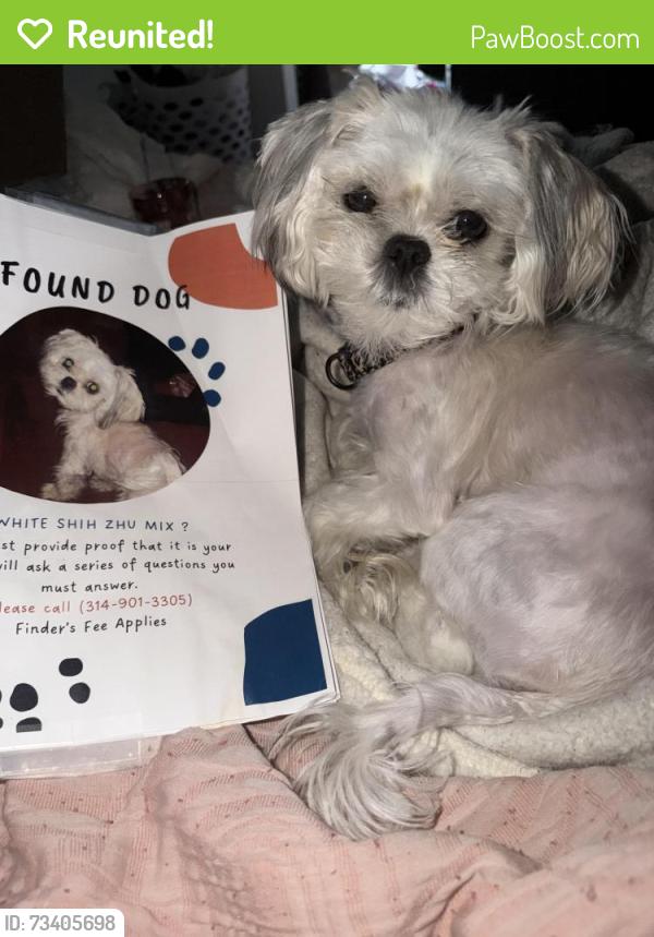Reunited Female Dog last seen IMOs near a Jefferson Ave, St. Louis, MO 63118