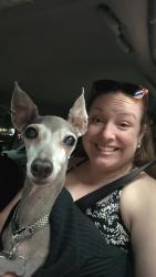Lost Female Dog last seen Avondale Parc @ Bellmar 10818 Stone Canyon Rd, Dallas, TX 75230, Dallas, TX 75230