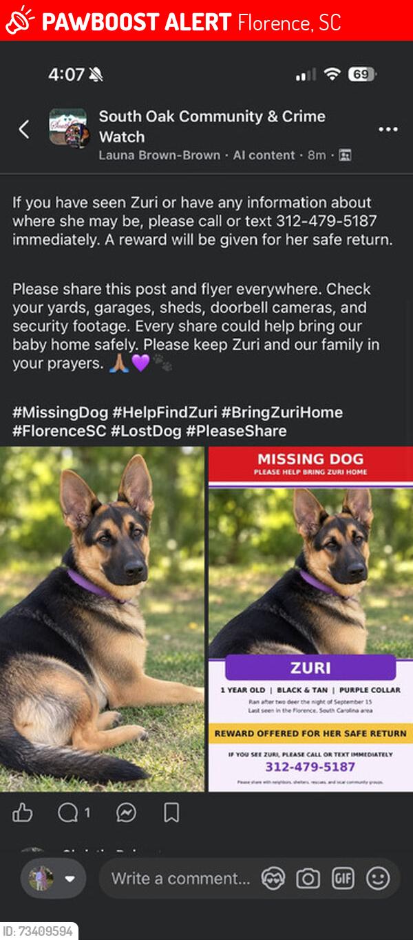 Lost Female Dog last seen Near South Florence area, Florence, SC 29505