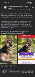 Lost Female Dog last seen Near South Florence area, Florence, SC 29505