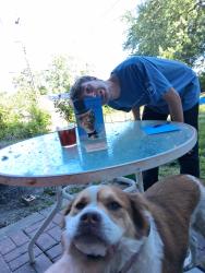 Reunited Female Dog last seen 12th street and vista,dr., Independence, MO 64056