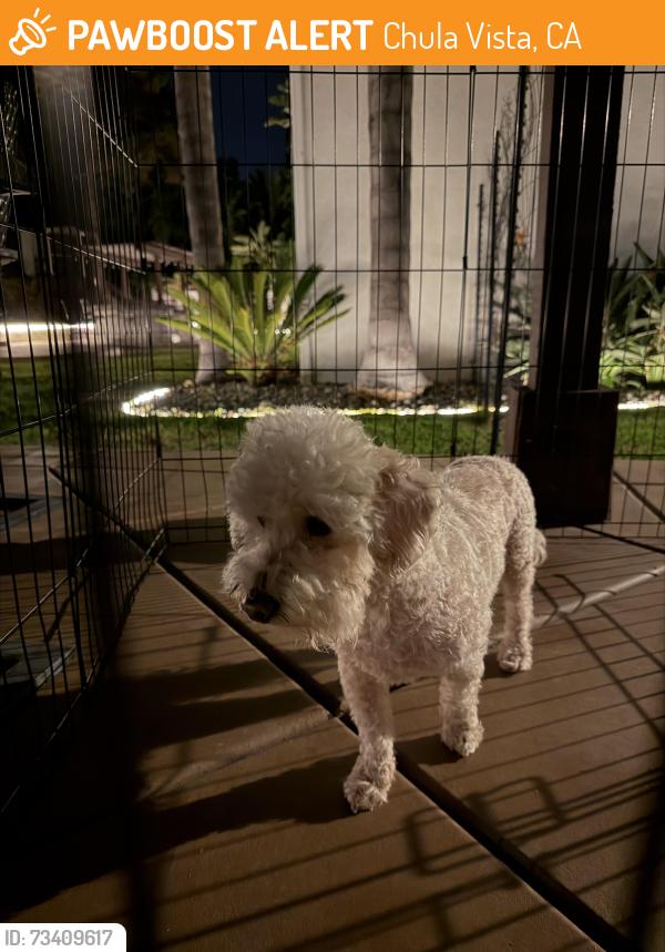 Found/Stray Male Dog last seen H, Chula Vista, CA 91910
