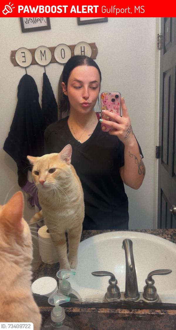 Lost Male Cat last seen O’Neal road, Gulfport, MS 39503