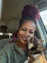 Reunited Male Dog last seen Arena Blvd/ Beechcraft Way, Sacramento, CA 95834