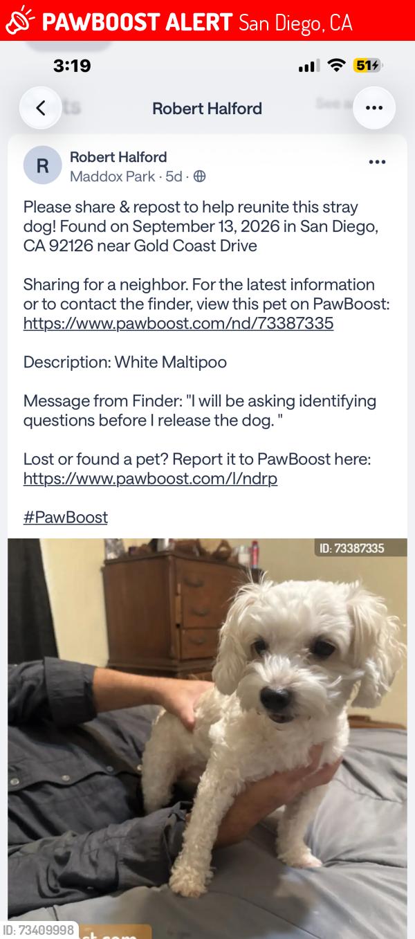 Lost Male Dog last seen Gold cost, San Diego, CA 92126