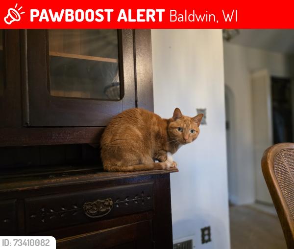 Lost Male Cat last seen New Kwik Trip, Baldwin, WI 54002
