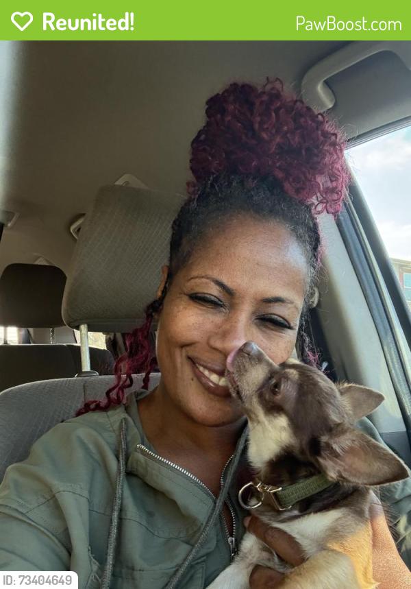 Reunited Male Dog last seen Arena Blvd/ Beechcraft Way, Sacramento, CA 95834