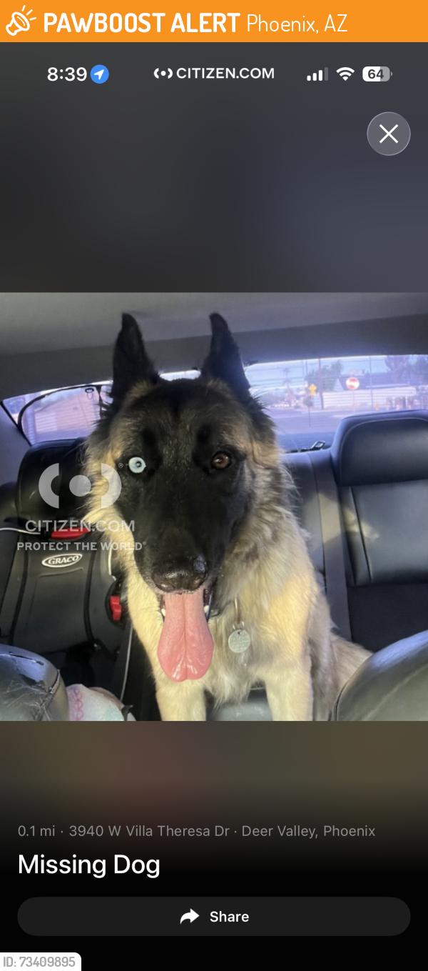 Found/Stray Unknown Dog last seen 35th ave and union hills, Phoenix, AZ 85308