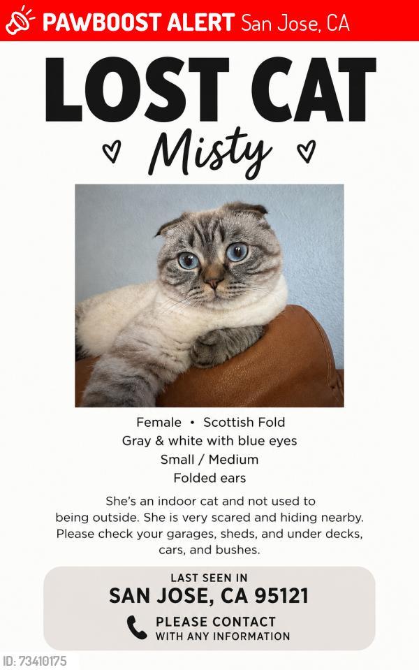 Lost Female Cat last seen OB Whaley elementary, San Jose, CA 95121