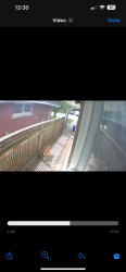 Found/Stray Unknown Cat last seen Margaret ave north & washington, Waterloo, ON N2J 3P9