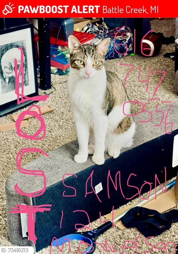 Lost Male Cat last seen Mowerson and rolling hills, Battle Creek, MI 49017