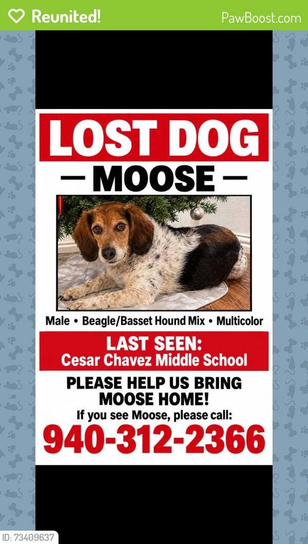 Reunited Male Dog last seen Near Hop Ranch Rd, Union City, CA 94587, USA, Union City, CA 94587