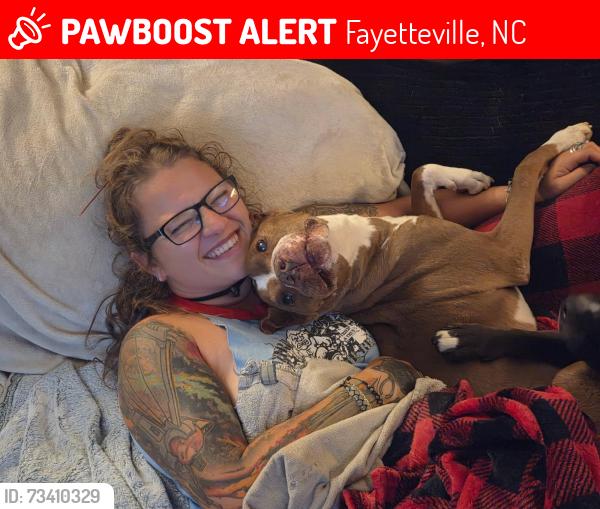 Lost Male Dog last seen Cliffdale Elementary, Fayetteville, NC 28314