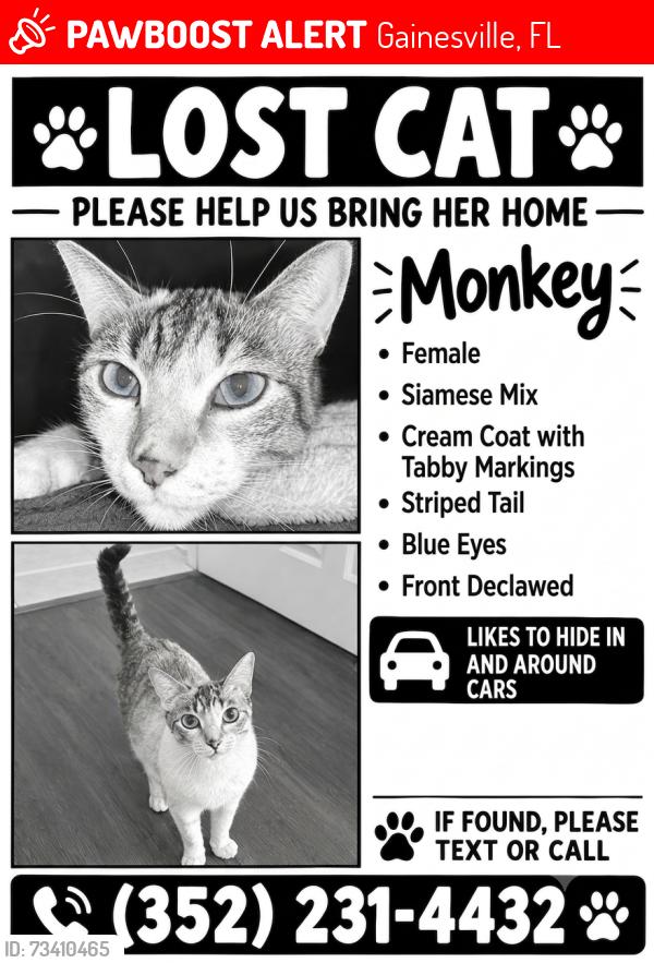 Lost Female Cat last seen Near blocks from gainesville fitness on newberry road, Gainesville, FL 32607