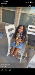 Lost Female Dog last seen near Hollis elementary, Forney, TX 75126