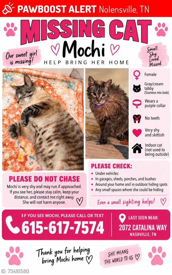 Lost Female Cat last seen My hse, Nolensville, TN 37135