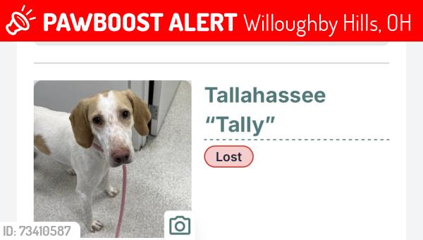 Lost Female Dog last seen Heinen’s, Willoughby Hills, OH 44094