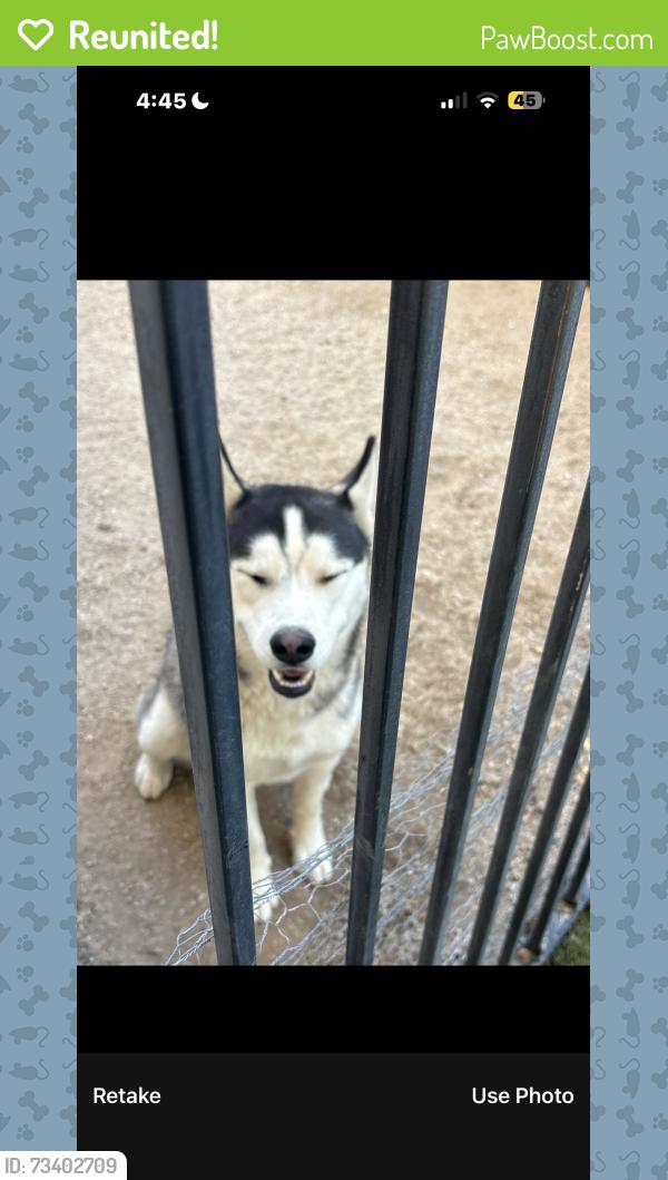 Reunited Male Dog last seen Near moonlight ct Palmdale ca, Palmdale, CA 93550