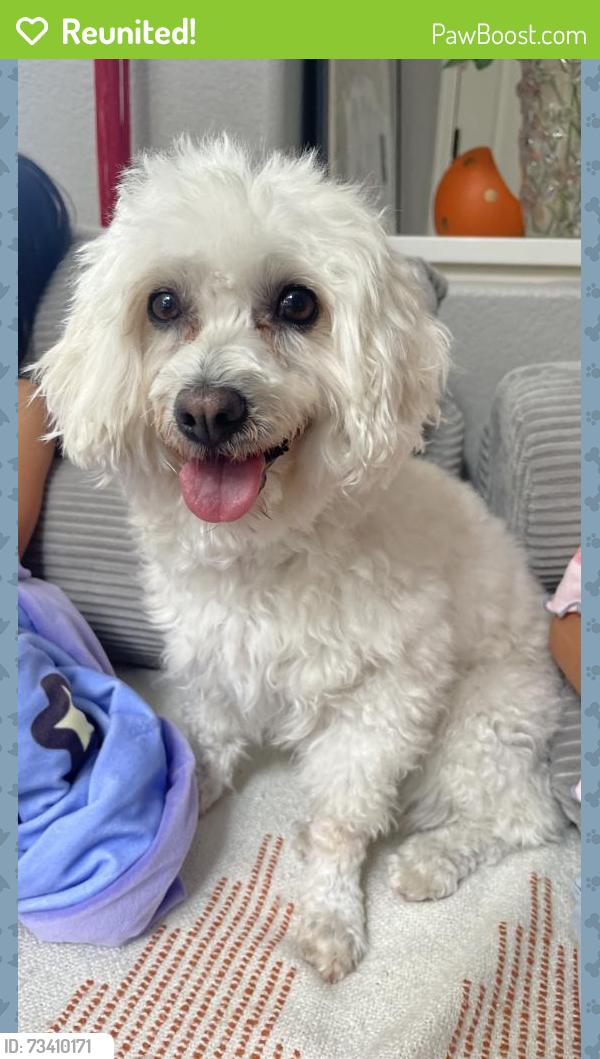 Reunited Female Dog last seen linda vista, San Diego, CA 92111