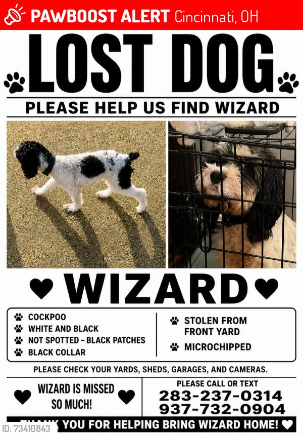 Lost Male Dog last seen Bond hill , Anita place, bond hill park , andina, Cincinnati, OH 45237