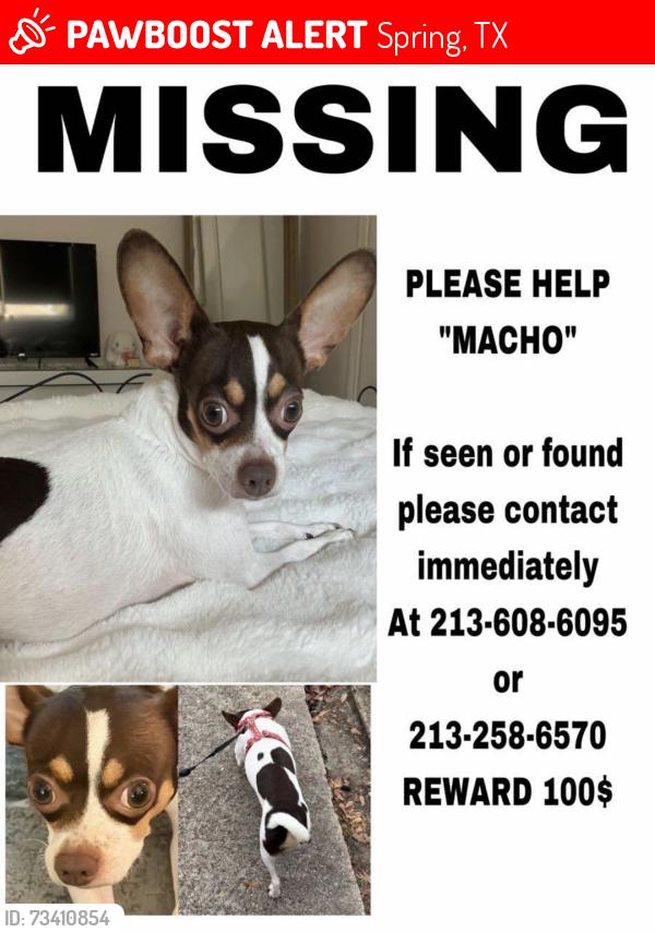 Lost Male Dog last seen Champions Forest , Louetta , Cypresswood Dr, Spring, TX 77379